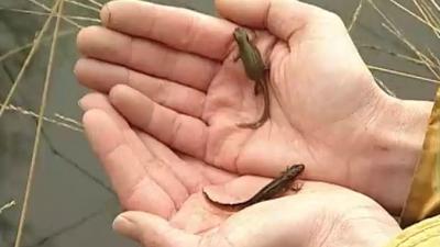 De Wandeling Seizoen 1 afl 31