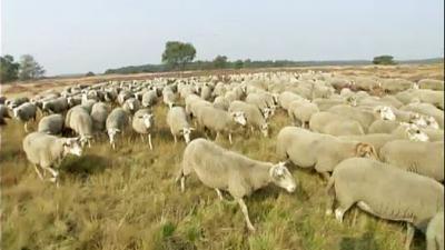 De Wandeling Seizoen 2 afl 3