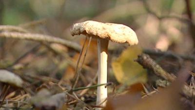 De Wandeling Seizoen 6 afl 9
