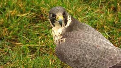 De Wandeling Seizoen 6 afl 14