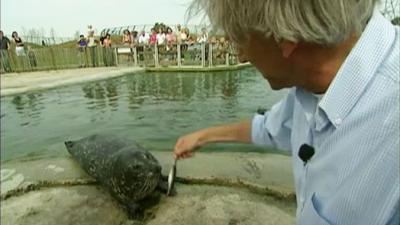 De Wandeling Seizoen 7 afl 4