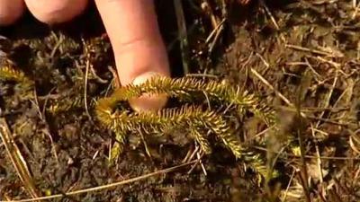 De Wandeling Seizoen 4 afl 30