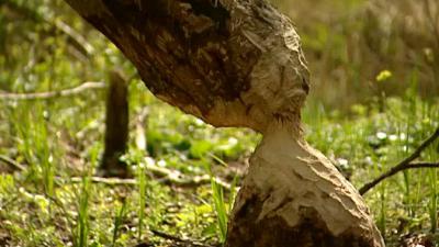 De Wandeling Seizoen 6 afl 32