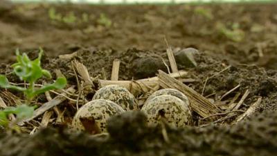 De Wandeling Seizoen 6 afl 35